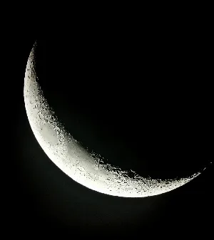 عدسة عمانية